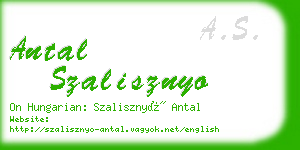 antal szalisznyo business card